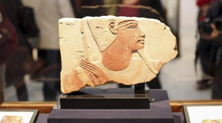 Fascinating Evolution of Museums