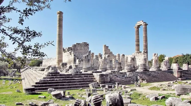 Ancient Roots