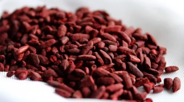 red yeast rice