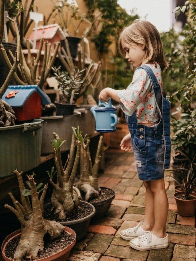 Tiny Trends Boutique: Adorable Online Fashion for Your Little Ones