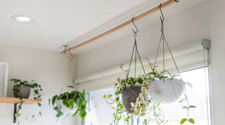 Hanging Planters