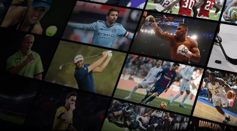 sport live stream