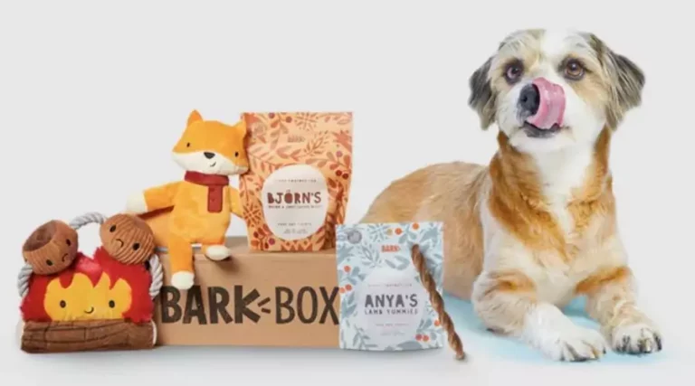gifts for pets