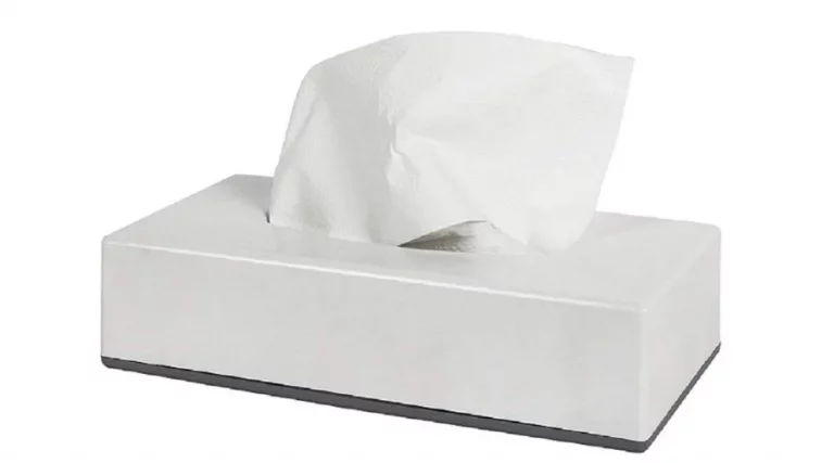 Car tissue holder