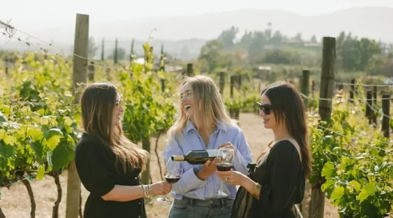 San francisco wine tasting tours