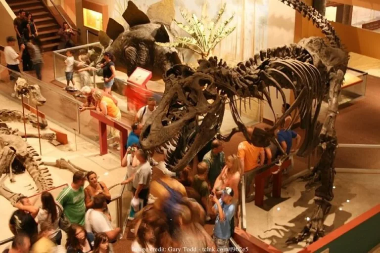 Washington DC Art Tours