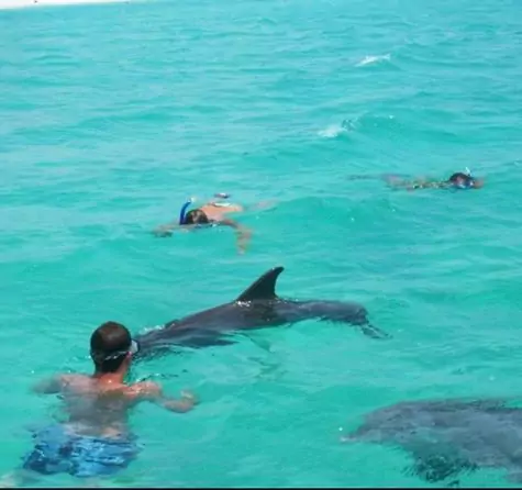 1-2025-08-18t111841837-68a2bed48a23a