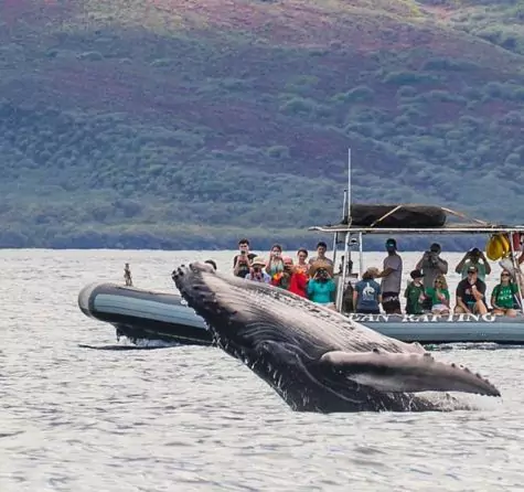 1-2025-08-18t112044676-68a2bf52efc83