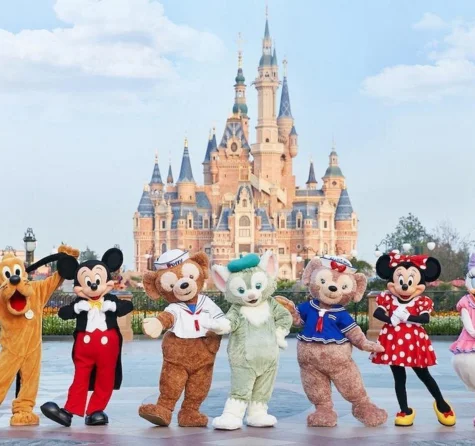 1 Day-Pass for Disneyland Shanghai and Private Transfer Package