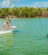 2-2025-08-18t111452179-68a2bddb65157