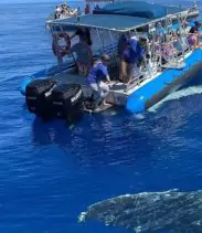 2-2025-08-18t112052998-68a2bf53c0e11