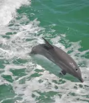 2-2025-08-18t112513122-68a2c053068cd