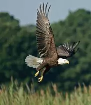 2-2025-08-18t114641629-68a2c55b1c3bb