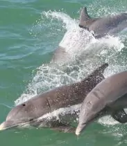 3-2025-08-18t112521973-68a2c0521af3d