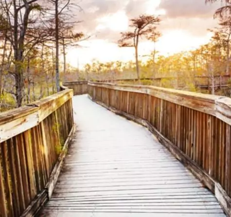 4-2025-08-18t124931617-68a2d41f7877d