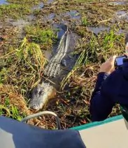 4-2025-08-18t125201433-68a2d5420ebe4