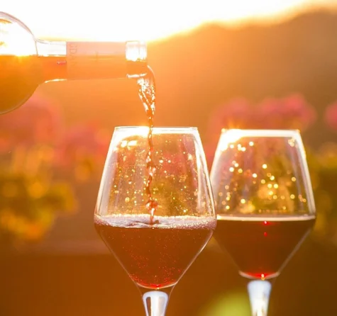 4-Hour Traverse City Sunset Wine Tour 3 Wineries on Old Mission Peninsula