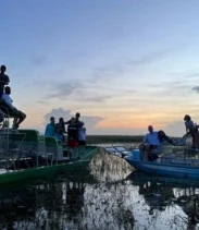 60 min Small Group Everglades Airboat Ride in Miami