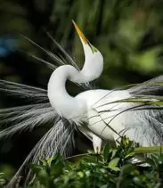 8-2025-08-18t125250970-68a2d54038077