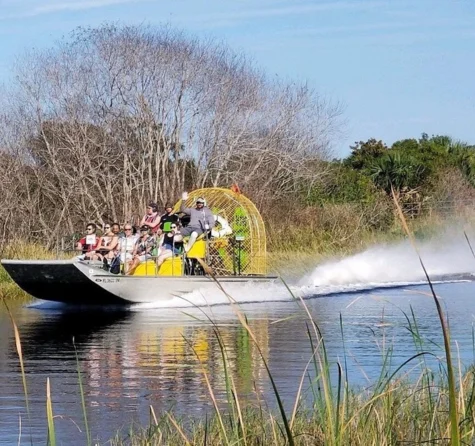 90 minute Everglades Airboat Tour near Orlando Florida