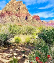 Award Winning Red Rock Canyon Tour