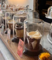 Cobblestones & Croissants A Morning Food Tour in Georgetown, DC