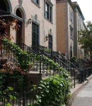 Harlem Renaissance Walking Tour with Lunch