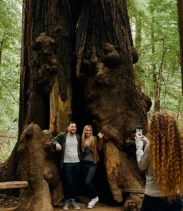 San Francisco, Muir Woods, Sausalito and Optional Alcatraz Tour