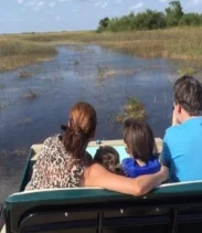 Semi-Private 1-Hour Airboat Tour of Miami Everglades