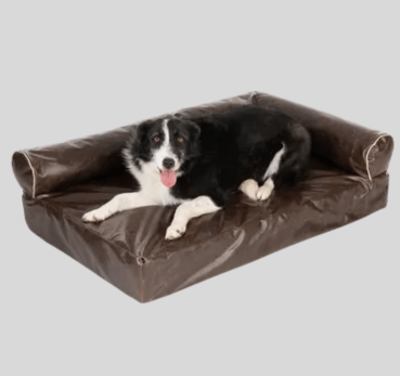 Divan Wellness Dog Sofa