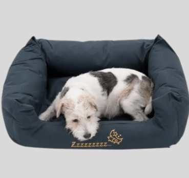 Dog Bed Sleepy Time Grey with Cushion