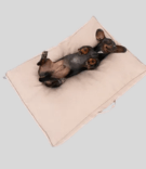 TIAKI Dog Mattress Memory Foam, beige (1)