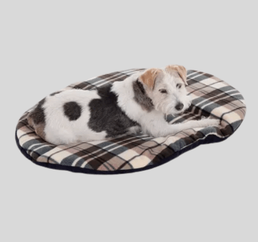 Tartan Dog Cushion