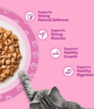 Whiskas Kitten Pouches