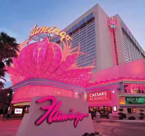 Las Vegas hotels | Xprrtupdates