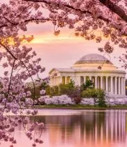 Washington DC hotels | Xprrtupdates