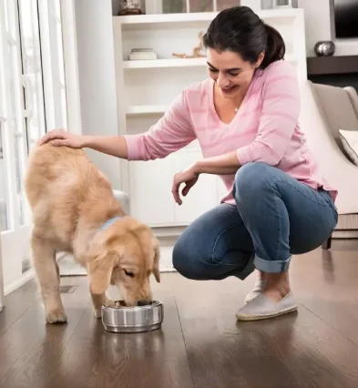 1-2026-03-17t103136556-69b8e03445a0d