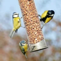 2-2026-03-17t113352624-69b8eed1df539