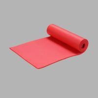 Hi Gear Explore Insulated Foam Mat (1)