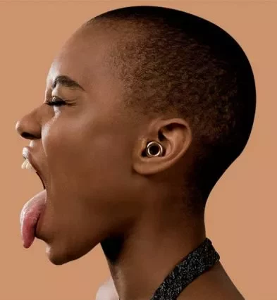 best earplugs to own