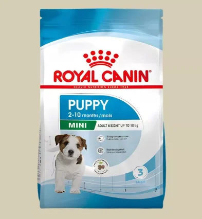 Miglior Cibo Secco per Cani di Ogni Età | Xprrtupdates