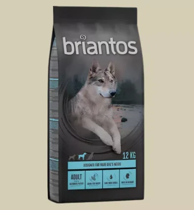 Miglior Cibo Secco per Cani di Ogni Età | Xprrtupdates