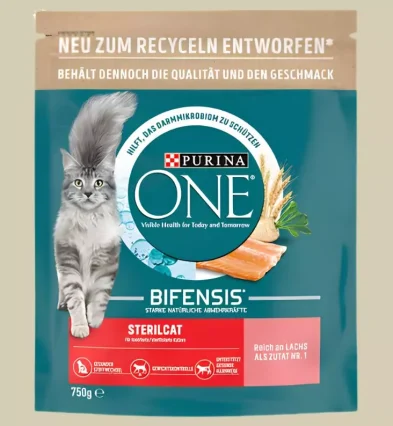 Miglior Cibo per Gatti Domestici | Xprrtupdates