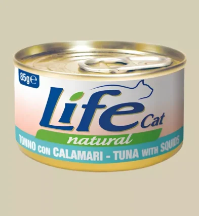 Miglior Cibo per Gatti Domestici | Xprrtupdates